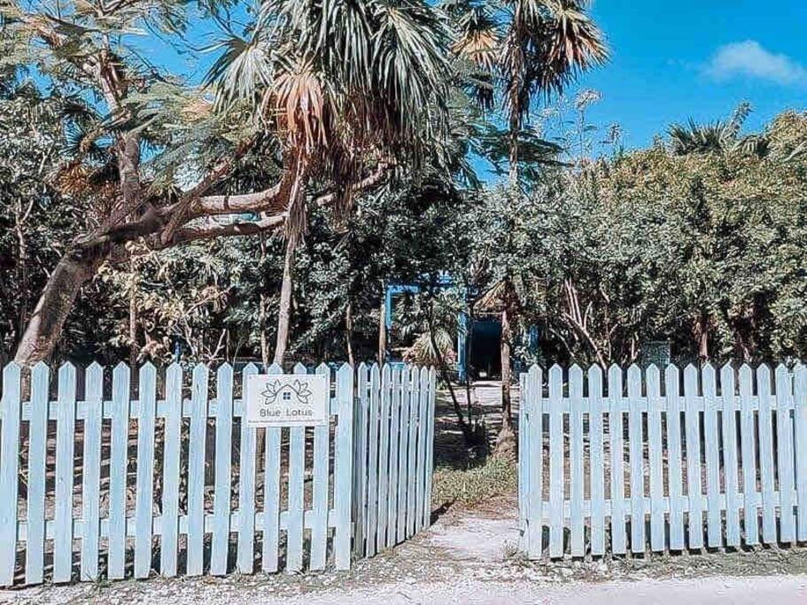 Vacation Home Blue Lotus Caye Caulker Exterior foto